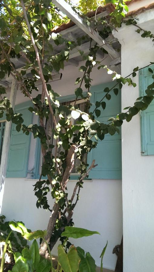 Sofia Holiday Studios Stafylos Exterior photo